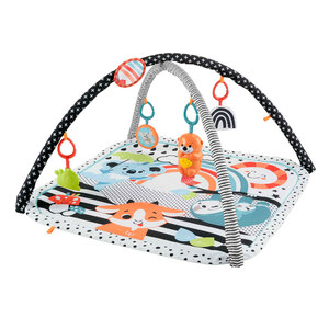 Fisher-Price 3-in-1 Music, Glow and Grow Gym Play Mat