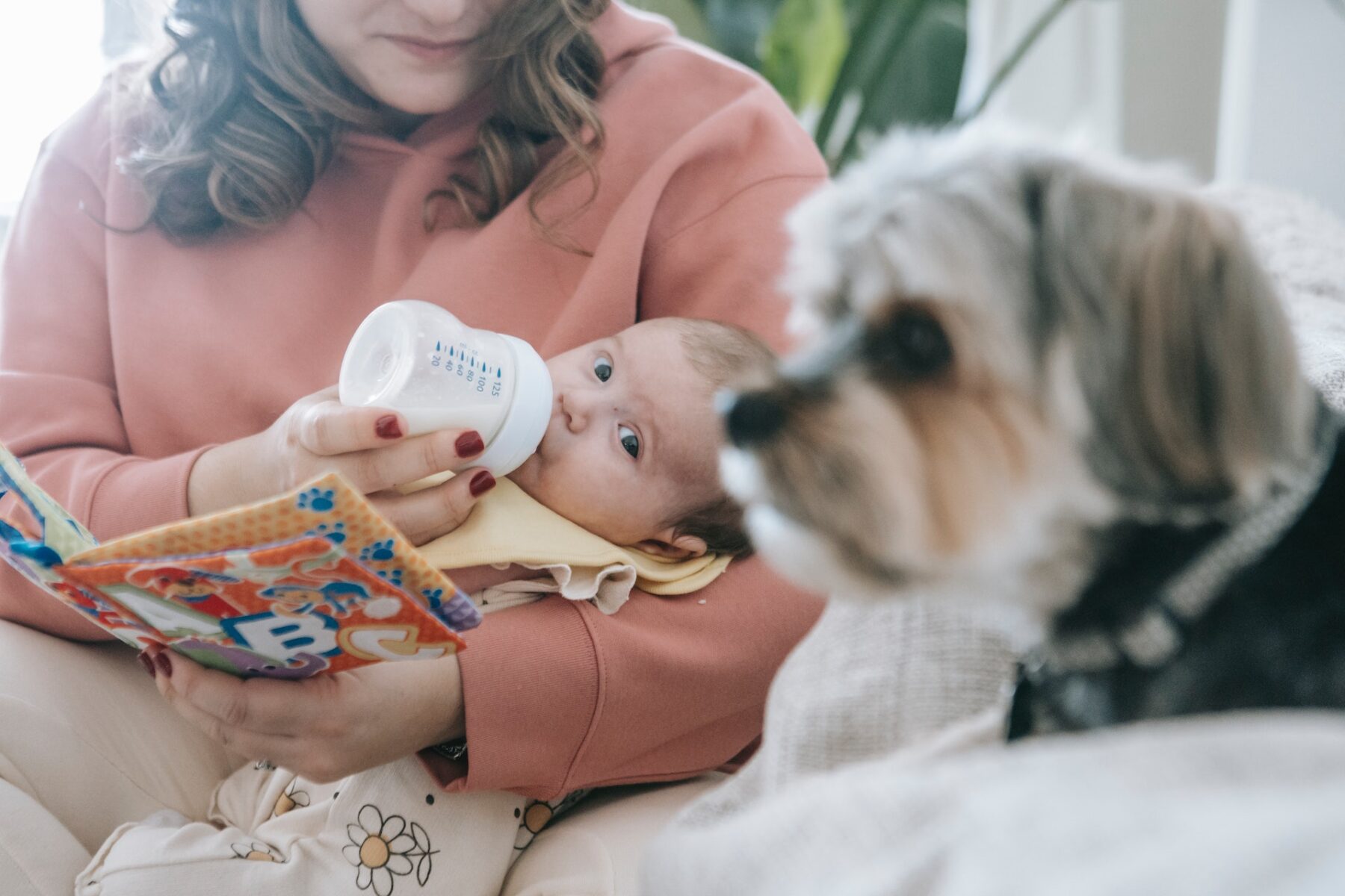 Baby starring at dog,