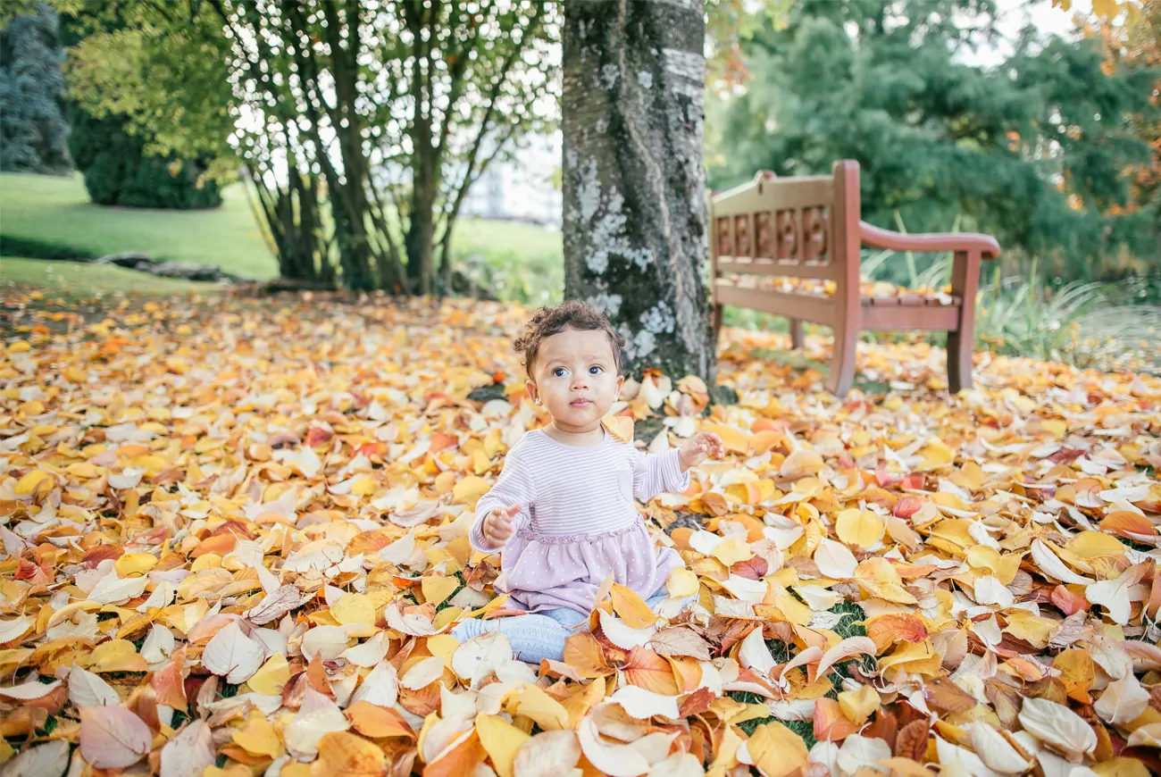 Toddler playing in autumn leaves