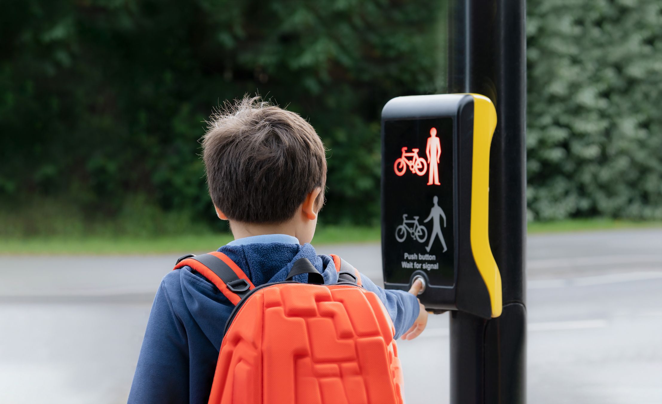 Child stands to press a traffic stop button.