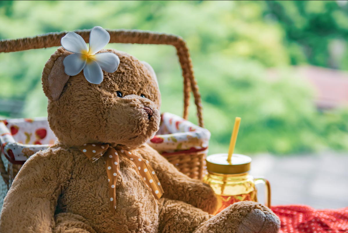 soft toy at a picnic.